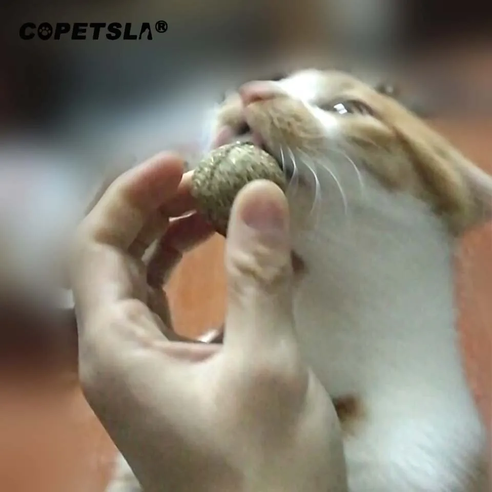 Copetsla Zdravá Mačka Občerstvenie Catnip Cukru Pet Candy Lízanie Výživy Gél Energie Loptu Hračka pre Mačky, Mačiatka Dodávky Pomôcť Trávenie 4