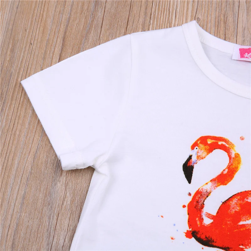 Blotona Sladké 2Pieces Deti Lete Nastaviť, Flamingo Tlač Kolo Golier, Krátky Rukáv T-Shirt+ Gradient Farbu Sukne pre Dievčatá 3
