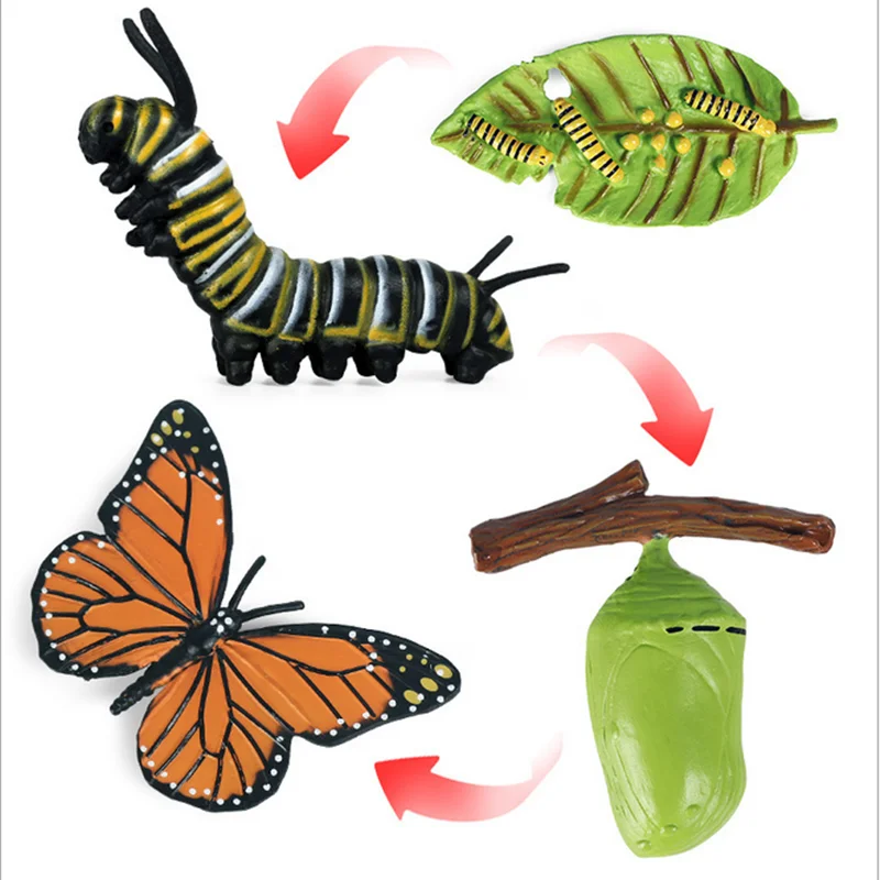 Deti Kognitívne Vzdelávacie Hračky Simulácia Zvierat, Hmyzu Model Mini Animal Butterfly Cyklu Rastu Ozdoby 3