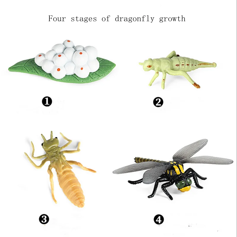 Deti Kognitívne Vzdelávacie Hračky Simulácia Zvierat, Hmyzu Model Mini Animal Butterfly Cyklu Rastu Ozdoby 4