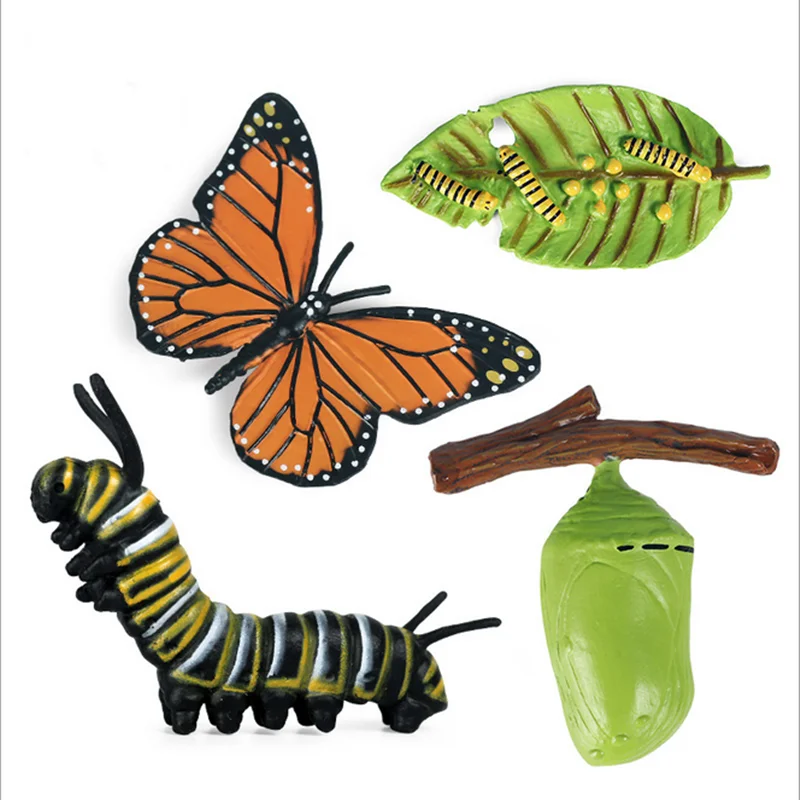 Deti Kognitívne Vzdelávacie Hračky Simulácia Zvierat, Hmyzu Model Mini Animal Butterfly Cyklu Rastu Ozdoby 5