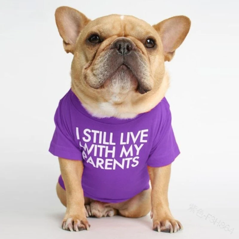 Letné 2021 Pet Tričko francúzsky Buldog Posádky Krku T-shirt Psie Oblečenie Medvedík Bišonika Pes, Pet Oblečenie Perro Oblečenie pre psa 2