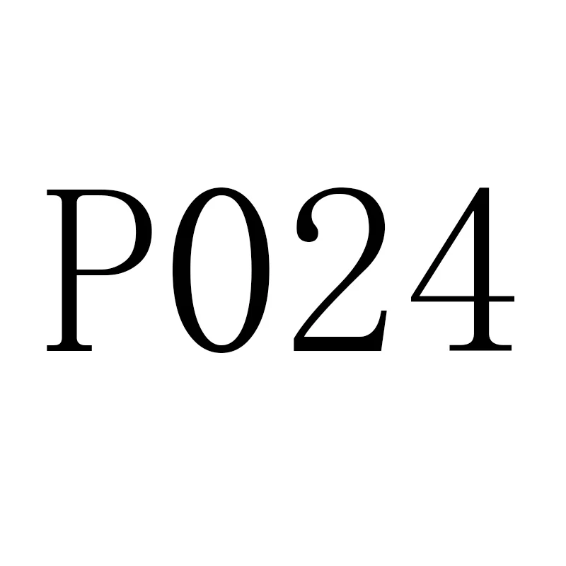P024 0