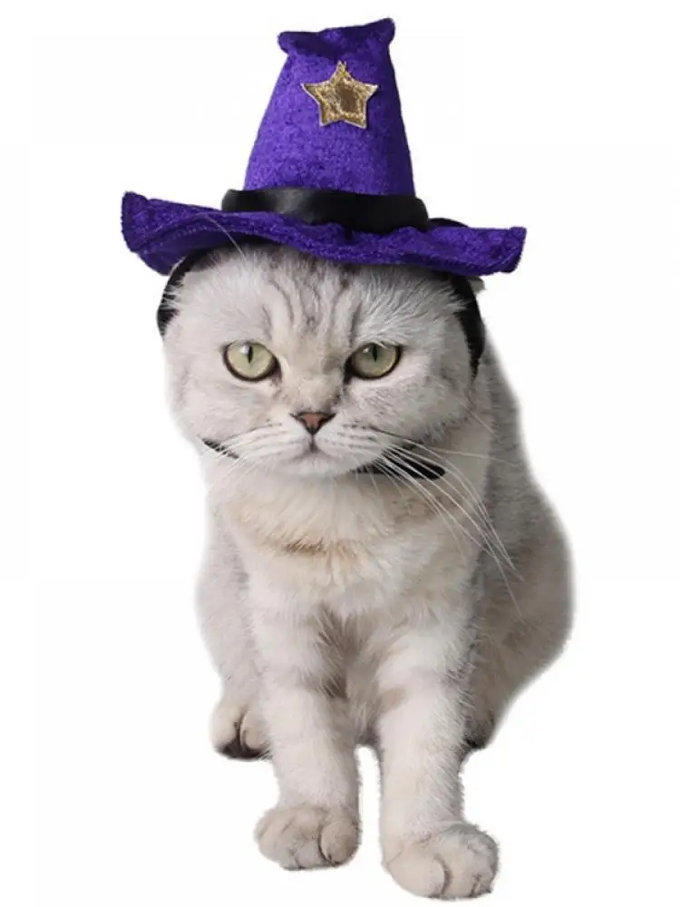 Vtipné Pet Mačka Čarodejnice Sprievodca Klobúk Spp Pre Mačka, Pes Halloween Kostým Vianočné Oblečenie Maškarný Party Pet Príslušenstvo Rekvizity 2