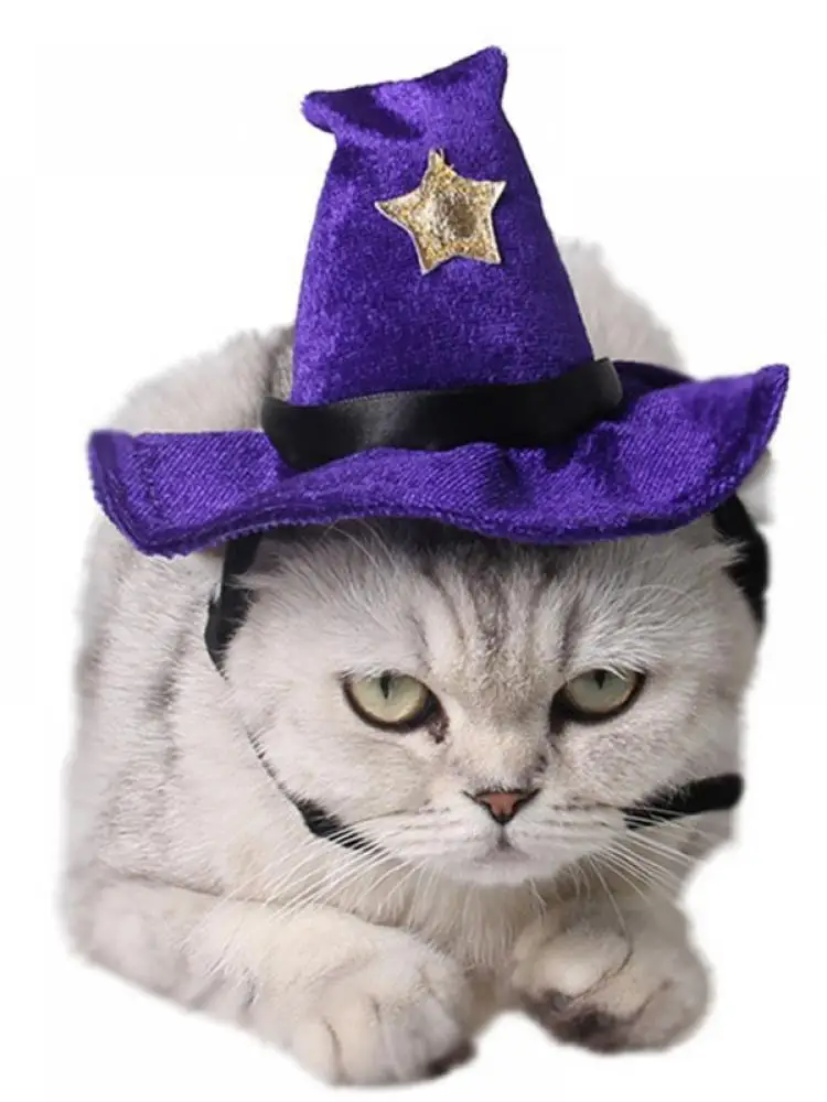 Vtipné Pet Mačka Čarodejnice Sprievodca Klobúk Spp Pre Mačka, Pes Halloween Kostým Vianočné Oblečenie Maškarný Party Pet Príslušenstvo Rekvizity 4
