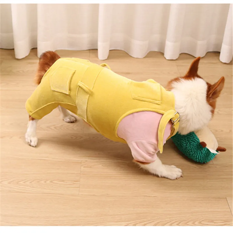 Pembroke Welsh Corgi Psie Oblečenie Jumpsuit Trakmi, Potápačské Jeseň Jar Zimné Pet Oblečenie, Psie Oblečenie Dropship Pet Produkt 4