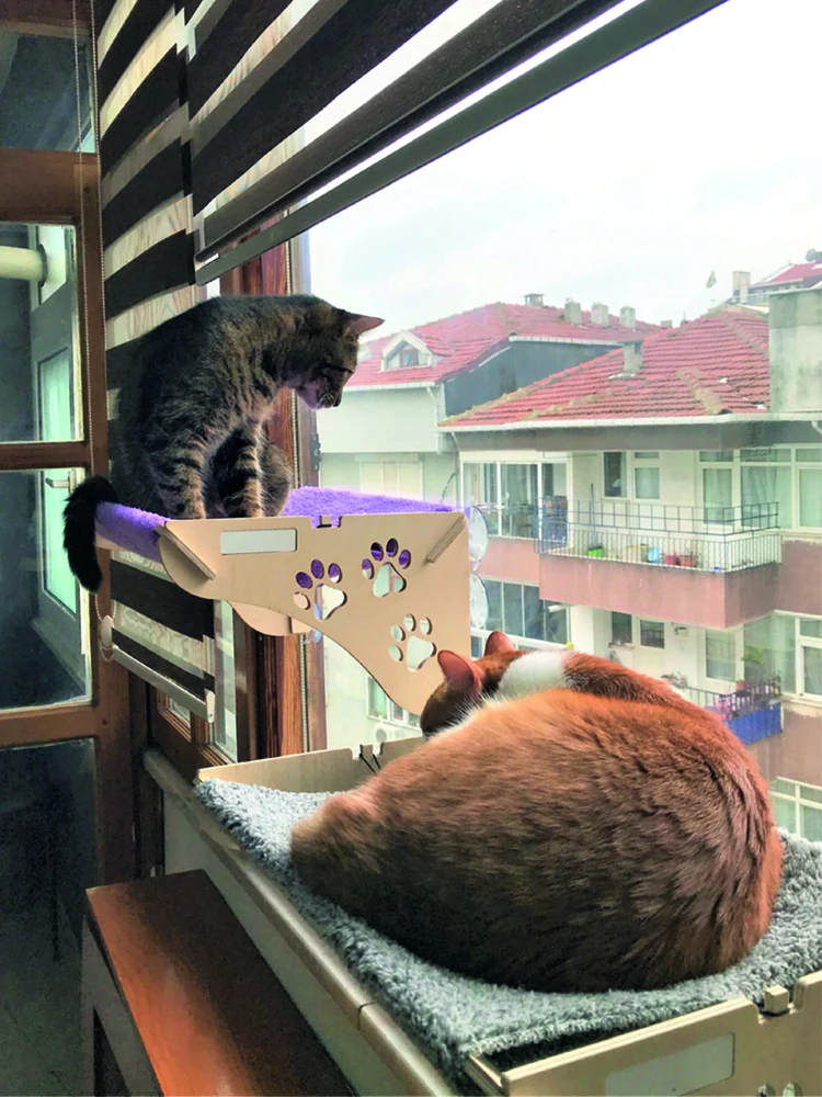 Roztomilé Mačka Miest Pet Hojdacia Sieť Pohodlné Slnečný Sídlo Window Mount Mäkké Pet Polica Slnečný Sídlo Miest Dodávky Odnímateľný Silný Sací 1