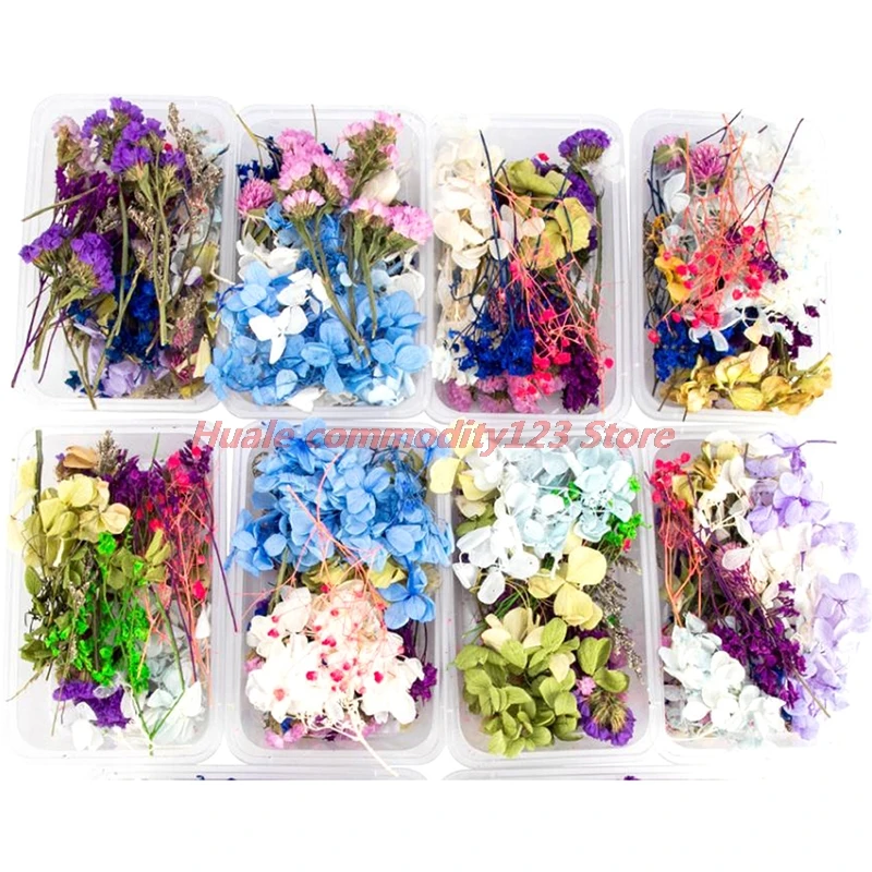 Náhodné 1 Box Prírodné Sušené kvety Suché Rastliny Skutočné Kvety DIY Plavidlá Príslušenstvo 1
