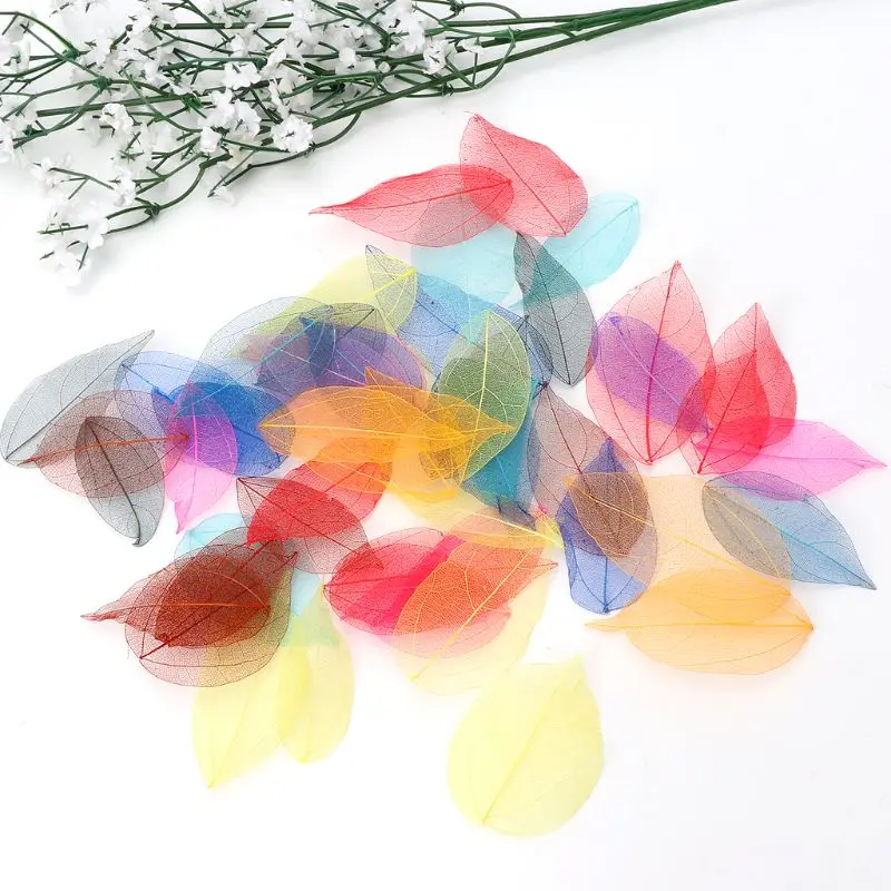 50 Ks Zmiešané Farby Prírodné Kostra Listy Stlačené Kvet pre Šperky, Takže 87HB 1