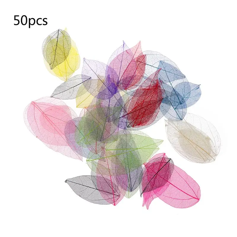 50 Ks Zmiešané Farby Prírodné Kostra Listy Stlačené Kvet pre Šperky, Takže 87HB 4
