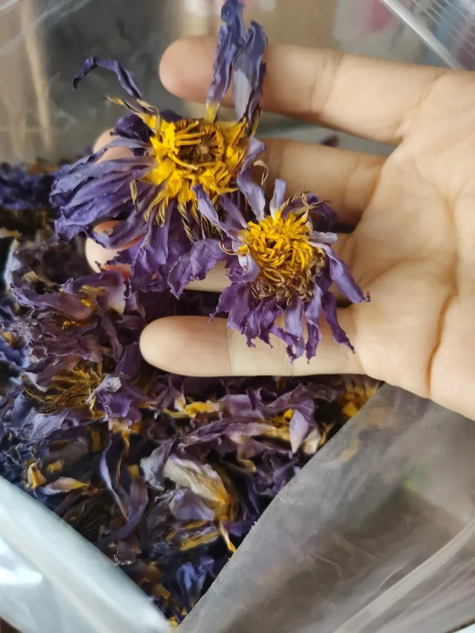 Blue Lotus Sušené Celé Kvet Nymphaea Caerulea 1